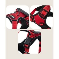 Lionto Hundegeschirr Rot S -Hochwertiger Tierbedarfsladen 5a9c2faebeb4747b2afd82d7d5d5323e17e8bf1f 1505063 de DE 0cfb49c83d4fbb2e533c75bc4900c295939b50fcQFbqJQ