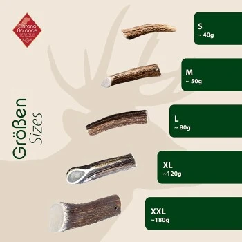 ChronoBalance Geweih Halbiert (XXL) 2er Paket 7 ChronoBalance Geweih Halbiert (XXL) 2er Paket – Bild 5