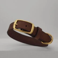 THE DOG IDEA Leder Halsband Braun M -Hochwertiger Tierbedarfsladen 5bac949feea5d5f59c7e6751952069a5862426be 1674220 de DE 8b6455ef1d4dab4e1be6bed35e5373bf84958058k1WBYW