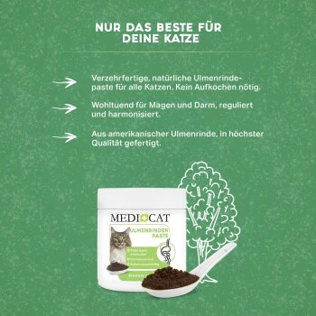 MediCat Ulmenrinde Paste 5 MediCat Ulmenrinde Paste – Bild 3