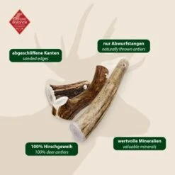 ChronoBalance Geweih Ganz (S) 2er Paket -Hochwertiger Tierbedarfsladen 5de89258b4b0ec3c6e18d2fb03615decfb7298ea 1418690 de DE 97f6faa2e066481717c6e9970bb381a3824303b82EeAsK