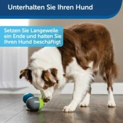 PetSafe Elektronisches Hundespielzeug Ricochet -Hochwertiger Tierbedarfsladen 5eadda9b8e1c472d17e8160a968897c5f1589a26 1418724 de DE f0080b3bce77c44349e2b70b9453ceaf44e2d3d6nqnVTG