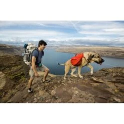 Ruffwear Palisades™ Hunderucksack S -Hochwertiger Tierbedarfsladen 60c954f30ecabd55f38cc9da656fbb1052cc485b 1444346 de DE 32060bc2f2e11825f314b0e0ab3008d891806557N4p73H
