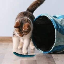 Kater Kasimir 3 Handgerollte Filzwürmchen Aus Schurwolle + 1 Mini-Flasche Katzenminze-Spray -Hochwertiger Tierbedarfsladen 628f7d1d4ec1f70990cd24d861db16d7b447278c 1409266 de DE e1034005335ef5de37662c8ab367f77b33e0f5830ItxtL