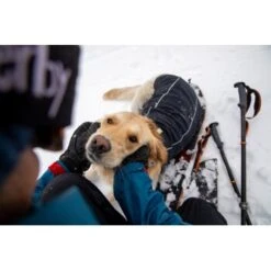 Ruffwear Cloud Chaser™ Hundejacke Schwarz XXS 21 Ruffwear Cloud Chaser™ Hundejacke Schwarz XXS -Hochwertiger Tierbedarfsladen 663863851733872c9a7a7a5137c57cadf708e304 1369623 de DE 51d1c132eb566a7eb9e278708f64567d4e47a10eLvqV28