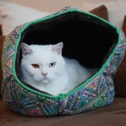 Canadian Cat Company Katzentunnel COSMO M -Hochwertiger Tierbedarfsladen 67f448259cbca2b76f0f056d6321e3f462cbbfb2 1412665 de DE 5bb2b25340ddb934c05b11da4b3410ce26fcf1f8fEc8B6