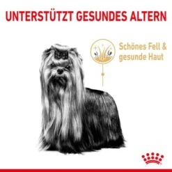 ROYAL CANIN Yorkshire Terrier 8+ Für ältere Hunde 1,5 Kg -Hochwertiger Tierbedarfsladen 6820f5d1668861335aff838ca8d75b9ceca269c3 0b00c689a5c0f3d962d4b7472621f235a6da7ba2