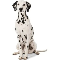 MORE Liegeplatz Karo LOOKS By Wolfgang Joop M -Hochwertiger Tierbedarfsladen 6828406bf5c097465ec912985de2b95c60385f12 1410461 3