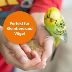 Ardap Milben- Und Zeckenspray Für Nager Und Vögel 100ml -Hochwertiger Tierbedarfsladen 68a588b27c2bdeb958613c196e70f41522c1ca73 1352522 de DE 1626057c073e83595c48b5e38365b5bb10e0c4acyC8yCA