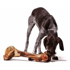 Irish Pure Giant Beef Bone -Hochwertiger Tierbedarfsladen 6903e89fe19b581d968d870adfc6091e65defe6e 1288899 de DE 59b1dfc4bf54e712927d1b3836b3e67c045cd6ea9sucte