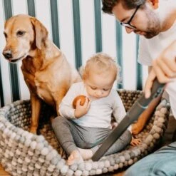 THOMAS AQUA+ Pet & Family Parquet Pro 15 THOMAS AQUA+ Pet & Family Parquet Pro -Hochwertiger Tierbedarfsladen 6a06a607313dbd894623286e7a98c7773a1034a3 1406735 de DE 19e0df3761ba1c9d0c13778d17fc55d12b702950RpbbLZ