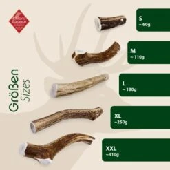 ChronoBalance Geweih Ganz (S) 2er Paket -Hochwertiger Tierbedarfsladen 6a2d01f3eb6870f2e91ba819862c3177a301ed88 1418690 de DE 9000f1c6c85d241db6c67b53955280ae842a85a4bQA7V6