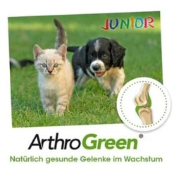 ArthroGreen Junior 25 G -Hochwertiger Tierbedarfsladen 6a60d69f3d1c00ba35978cfcbf4d867d243561bc 1674241 de DE bed99a5dadc632a71630f6b3e1df7dd049168828anHF6x