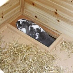 Kerbl Kleintierstall Tyrol Alpin -Hochwertiger Tierbedarfsladen 6d227fe763647c07827ef0bb889e4df382ab6c29 b0ce99e06781483f1a0fd9ec2deb2a932d3c0a69