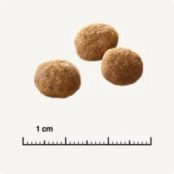 SELECT GOLD Senior +12 Geflügel Mit Reis 3 Kg 12 SELECT GOLD Senior +12 Geflügel Mit Reis 3 Kg -Hochwertiger Tierbedarfsladen 6db53d99e99530132bf34d8482d69f423780c004 1081823016 de DE 6