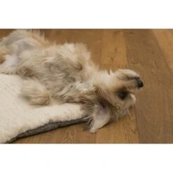 TrendPet Heaven Gefütterte Liegedecke Beige XS -Hochwertiger Tierbedarfsladen 6f0762b8ea010ef696f1e6b7b2d164775a699202 1247692 de DE 1b30b7ee4e67b9ef5127b085f041b5de3ea0fafdm2xGRF