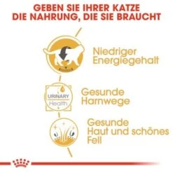 ROYAL CANIN British Shorthair 12x85g -Hochwertiger Tierbedarfsladen 6f1dc92b9b52a43d2267d34aab253596e7be143a 7f0fd40bf73b9dd0972df6cd9651a951bdb28212