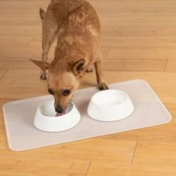 KaraLuna Basic Napfunterlage Transparent S -Hochwertiger Tierbedarfsladen 6f92b46b9666870298738b4bee75a50ee534fac6 1407499 de DE 14497c23a79b7136237df13f9c32b5ed84fd5ff04vyZgl