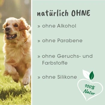 CdVet Ohrenpflege 50ml 8 CdVet Ohrenpflege 50ml – Bild 6