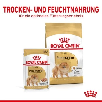 ROYAL CANIN BHN Pomeranian 1,5 Kg 7 ROYAL CANIN BHN Pomeranian 1,5 Kg – Bild 5