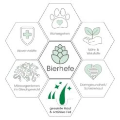 Fell & Haut Vital 150 G -Hochwertiger Tierbedarfsladen 70d5facb186b381b20f4b60599e8ef87b7702a47 1049905 de DE 79c696d7ef6e7ff51d7da320d55601dcd109d761GPV9bb