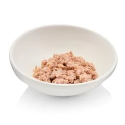 Canadian Cat Company Futterbar Cat Diner -Hochwertiger Tierbedarfsladen 7374ea0a9e3fe9347681d73e38cfddf88778c4d9 1345694 de DE 736a30d8934edf90c8b01e1b34a29dff5e81dab2o6VK2t