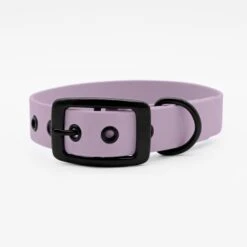 THE DOG IDEA Biothane Halsband Lavendel Schwarz S -Hochwertiger Tierbedarfsladen 73f9e0f0cd3376b3324f197e9e830f076848295e 1662775 de DE 042a5e31100b1aea1ee32c5b4f32d821e701db47NYhRDx