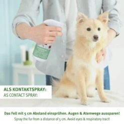 Aniforte Zeckenspray Für Hunde 100ml -Hochwertiger Tierbedarfsladen 74759feead81eb1c7f2090929dd4264b7b0305cd 1501153 de DE d37c14ba9ed3ecad978e481e7bece5097534ebd5fJPxuc