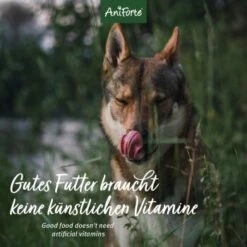 Aniforte Ente 2,4 Kg -Hochwertiger Tierbedarfsladen 7652af27f1714485a83166e99bc730e85d2ee5e0 1422204 de DE 12b8cfe33ee675107bc8329d05c3a48ecec8adbaWKc6yd