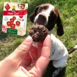 ChronoBalance Backmischung Für Hundekekse Getreidefrei + Form Mit Apfel & Dinkel 15 ChronoBalance Backmischung Für Hundekekse Getreidefrei + Form Mit Apfel & Dinkel -Hochwertiger Tierbedarfsladen 791cb4d2028c3feba1e17eb7afcd1dc0477a3e51 1409548 de DE 8fa4e8db7b8a77ca60b4ef08f2d4cbbb72f1ad0bO5ya0q