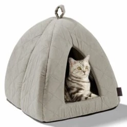 MORE Höhle Diamond -Hochwertiger Tierbedarfsladen 7939acaef98cdb9195a642e4ff359691740fc0e9 84dbe0d60d2ca1e5170055a2164cc0d47aaedf72