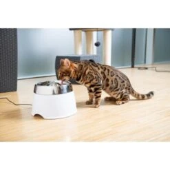 AniOne Edelstahl-Trinkbrunnen Trevi Ohne Ersatzfilter -Hochwertiger Tierbedarfsladen 7a066af048695bbfaeca0a855e5984fc3bf99d03 689fcf415d486ac05c07f2a4868b1d087d7a9ece