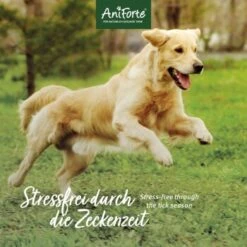 Aniforte Zecken Schild (10 Bis 35kg) Für Hunde 60 Kapseln -Hochwertiger Tierbedarfsladen 7c1f9419501c73304f8da74439e2793f1ac19534 1332832 de DE 6b0465714e7043aa512f07a2e3a3c8a3a07d4c02tI7JlQ