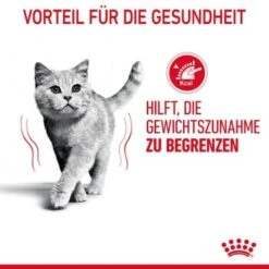 ROYAL CANIN Light Weight Care 8 Kg -Hochwertiger Tierbedarfsladen 7d926c64aba7d578d91baf7f1bbe2943ff469805 1332703 4