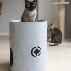 Canadian Cat Company Filzbett Owen-Tower -Hochwertiger Tierbedarfsladen 7de15b7ab3d0a3da50a54b91f1a6b746b12be302 1394209 de DE 768a45a9be27cfd0fb27e1bf0942b4e67e500c7ee16ity