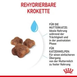 ROYAL CANIN Mother & Babycat 2 Kg -Hochwertiger Tierbedarfsladen 7de9161ec8af5d8e5fb59d6589cba97c3ecae1bf 3182550707329 5