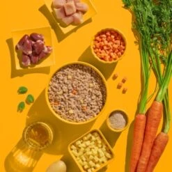 Fred & Felia FELIA 10x200g Huhn -Hochwertiger Tierbedarfsladen 7e93c87f3bf5a7c166224c4e2c11e0bf359859f3 1422055 de DE 62374aa99ffbad947366c1bb2c8fe35cf502571cJBPclz