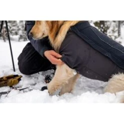 Ruffwear Cloud Chaser™ Hundejacke Schwarz XXS 19 Ruffwear Cloud Chaser™ Hundejacke Schwarz XXS -Hochwertiger Tierbedarfsladen 839577c6525280e266f62f99f67ccc111fd75c4b 1369623 de DE 87ed046f15d6c099e4f33a0b92b8494c495a6d97bF4WS9