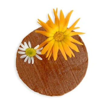 Eat Small Shampoo HEALTHY SKIN 3 Eat Small Shampoo HEALTHY SKIN