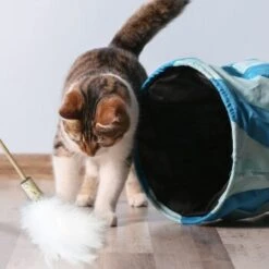 Kater Kasimir Premium Paket Mit 7 Beliebten Katzenspielzeugen Aus Naturmaterial 10 Kater Kasimir Premium Paket Mit 7 Beliebten Katzenspielzeugen Aus Naturmaterial -Hochwertiger Tierbedarfsladen 84f221d79ef76f1b4f2f0037d329c11c6fce3a33 1408152 de DE 294269527f07b1898ca7562c986e956043828d3cA8xBpO