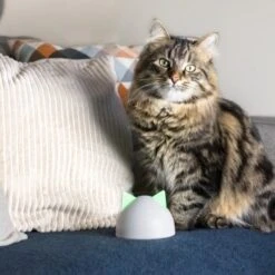 SureFlap Sure Petcare Hub 15 SureFlap Sure Petcare Hub -Hochwertiger Tierbedarfsladen 852b1bc3a8108075f76c20971c6ccd4d4ae1aeee 64f4b5749fc73b0bad1049a6b67d5e53fa50ba07