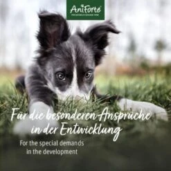 Aniforte Junior Active 250 G 11 Aniforte Junior Active 250 G -Hochwertiger Tierbedarfsladen 85f14959766b1456ddfebecc96c0620d66b937f8 1422210 de DE 2b250799eeaa3b0c7abfb8ddb6b25faa05fec06cbuKE8w