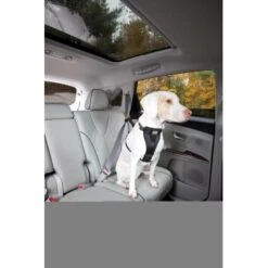 Kurgo Sicherheitsgeschirr XS -Hochwertiger Tierbedarfsladen 87813e7da78344d76194991149b2935972cb3fc9 9b7a4549d6992d8434083c74ff0b43057fd79273