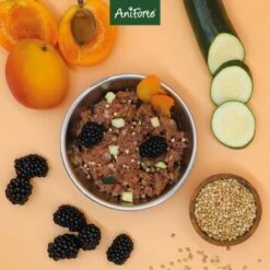 Aniforte Ente 2,4 Kg -Hochwertiger Tierbedarfsladen 8935a7450ab8ddc34729bfe6098b06abc30af9cb 1422204 de DE 9202deb0f72c6fb6a090e358d9de03093d55392085KOyC