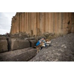 Ruffwear Grip Trex™ Hundeschuhe 17 Ruffwear Grip Trex™ Hundeschuhe -Hochwertiger Tierbedarfsladen 8a04129089dd0c034c3440ca2f5a059543497a42 1363993 de DE 62eaf59e4c30b32a0494684f66bc46a3e77f909dJ6uyPm