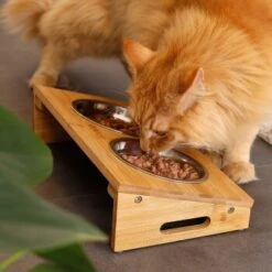 Lionto Futterstation Mit Bambusgestell -Hochwertiger Tierbedarfsladen 8c56991d507e18b3df4a2f4045dbd93cd3bd9353 1665980 de DE aa6482f6e46fc6375e62da8010ac0599c0ca4960aJFeP6