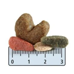 MultiFit Light Mit Geflügel & Reis 12kg -Hochwertiger Tierbedarfsladen 8d38af21c54ccafe109a557c00c3ae305e67a486 1001467003 de DE fgrew