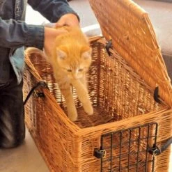 Aumüller Katzenhöhle Eckig -Hochwertiger Tierbedarfsladen 8d87b362ac9438a292739b68c12353b34ae9f49f 1d1df7833ded5af56aedf174929409f94e84fa5b