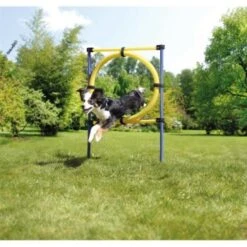 AniOne Agility Set -Hochwertiger Tierbedarfsladen 8dd2c346cfba9b57b3f14270694b3f975d0558fa 8ae19109d8863c833405d8d5b2e72b4315e858f5