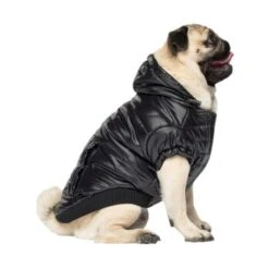 Canada Pooch Glänzende Pufferweste XXS -Hochwertiger Tierbedarfsladen 8ec11177ec9f86d200ff22bc3e0c234ecff91e7e dfb5b396c833a1ace7625fc5796632bee13eda68